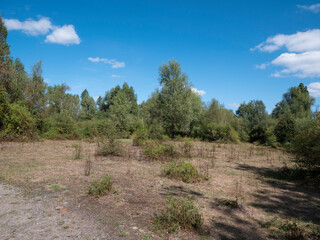 Landscape photo of the polders in Hoboken, Belgium in very dry weather and high temperatures