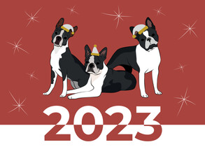 Boston Terrier breed, dog pedigree drawing. Cute dog characters in various poses, designs for prints, adorable and cute Christmas Boston Terrier cartoon vector set, in different poses. New year poster