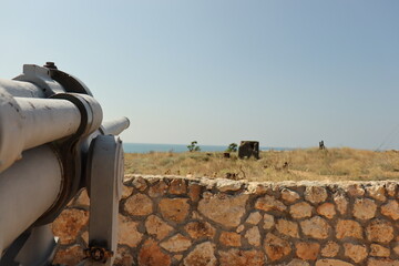 cannon on the coast