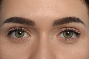 Young woman with permanent eyebrow makeup, closeup