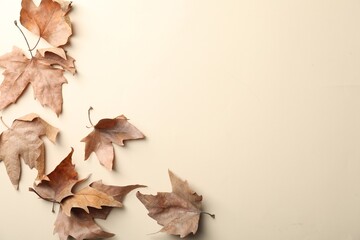 Dry autumn leaves on beige background, flat lay. Space for text