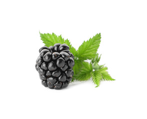 Tasty ripe blackberry and leaves on white background