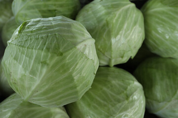 Fototapeta premium Pile of ripe green cabbages as background, closeup