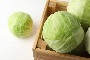 White cabbage in crate on table, closeup