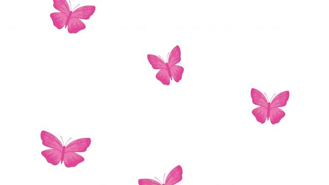 pink butterflies flying pattern animation