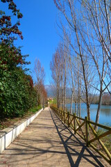 Plakat path in the park by the river
