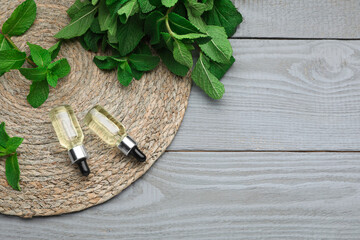 Bottles of essential oil and mint on grey wooden table, top view. Space for text