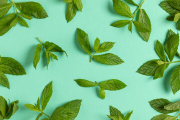 Fresh green mint background. Top view. © Serhii