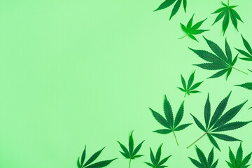 Fototapeta na wymiar Collage of Marijuana or Cannabis Leaves From Indica and Sativa Plants on Minimalist Green Background with Copy Space