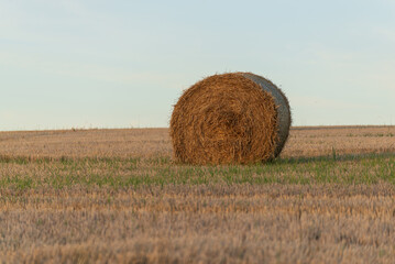 View of the hay bales, Old Head of Kinsale Cliff Walk