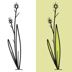 Hand drawn Dandelion flower vector illustration, editable vector file for all your graphic needs.