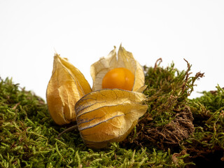 Cape gooseberry, physalis isolated on white background.