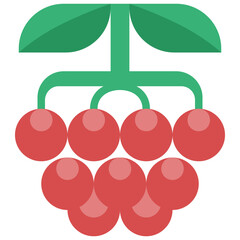 berry flat icon