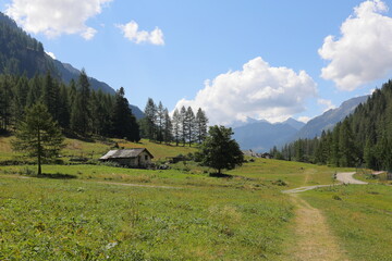 SENTIERO DI GRESSONEY, ITALIA, PATH IN GRESSONEY,ITALY 