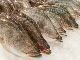 Raw scraped fish in supermarket