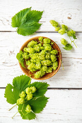 Picked herbal medicinal plant Humulus lupulus, the common hop or hops. Hops flowers in wood bowl on...