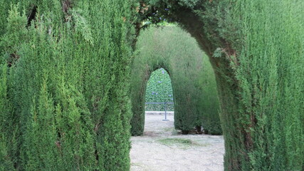 Fototapeta na wymiar Spain/ Portugal Landscape Hedges Arch