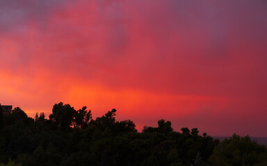 Fototapety na wymiar - Fototapeta24.pl