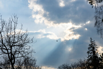 the sun's rays make their way through the dark clouds