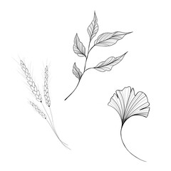 Set of plants freehand illustration