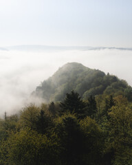 above the clouds at a forest hill