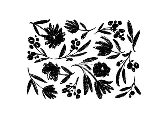 Charcoal flowers on white background. Hand drawn black vector botanical elements. Branches, leaves and buds set. Black flower silhouettes with small berry branches. Monochrome ink illustration
