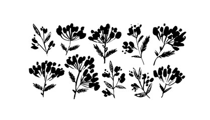 Set of rowan berry branches. Hand drawn vector ink illustrations isolated on white background. Botanical black silhouettes. Christmas branches, winter or autumn berry twigs. Brush strokes style.