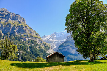 Grindelwald, Unterer Grindelwaldgletscher, Eiger, Eigernordwand, Schreckhorn, Alpen,...