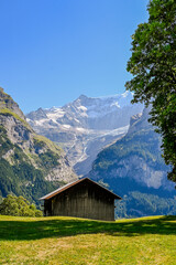 Grindelwald, Unterer Grindelwaldgletscher, Eiger, Eigernordwand, Schreckhorn, Alpen, Fiescherhörner, Finsteraarhorn, Berner Oberland, Bergdorf, Bergwiese, Landwirtschaft, Sommer, Schweiz 