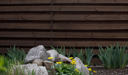 flowers on the background of a wooden fence