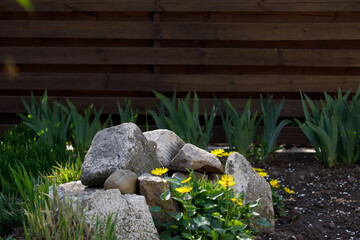 flowers on the background of a wooden fence