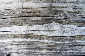 Fototapeta premium Old wood plank close-up wall background for design and decoration. Textured beautiful abstract surface for wallpapers and backgrounds