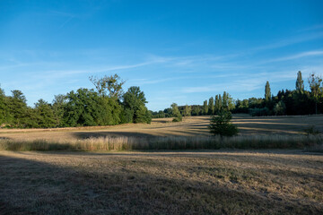 Naturschutzgebiet Buschmühle - Brander Wald