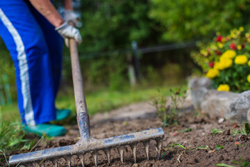 Farmer cultivating land in the garden with hand tools. Soil loosening. Gardening concept. Agricultural work on the plantation