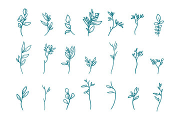 21 Leaf pack line art hand drawing vector for astetic design