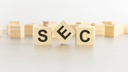 word SEC is made of wooden blocks on white background