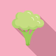Clean brocoli icon flat vector. Cabbage vegetable. Plant salad