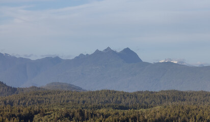 Green Trees and Mountain Landscape on the Pacific Ocean West Coast. Tofino, Vancouver Island, British Columbia, Canada. Canadian Nature Background.