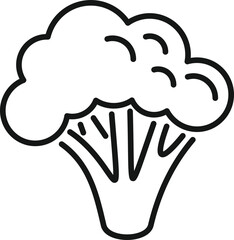 Salad brocoli icon outline vector. Vegetable broccoli. Food plant