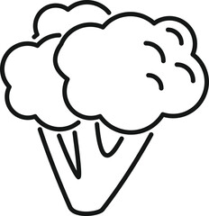 Sweet brocoli icon outline vector. Broccoli cabbage. Plant salad