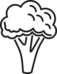 Diet brocoli icon outline vector. Cabbage broccoli. Plant salad