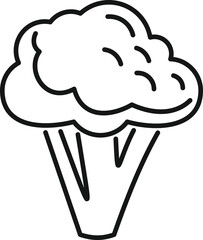 Vitamin brocoli icon outline vector. Broccoli cabbage. Salad plant