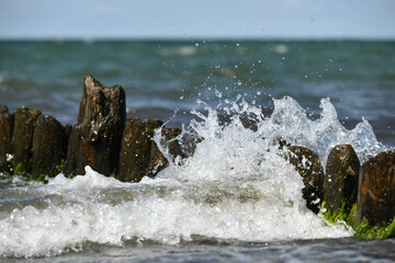 Buhne an der Ostseeküste