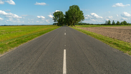 An empty roadway outside the city passes by trees growing on the side of the road. Travel by car away from the city and the hustle and bustle. Paved road on a sunny day without cars.