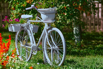 Fototapeta na wymiar A decorative white bicycle with flower pots surrounded by flower beds. White bicycle in a green garden. Selective focus