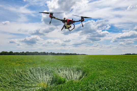A modern solution in agricultural. Use of robotic systems with agriculture spraying drone fly to sprayed spraying chemical from insects - insecticides, fungicides, acaricide, or herbicides from weeds.