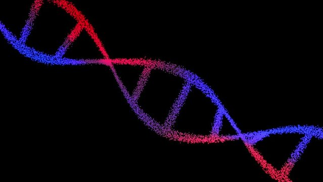 DNA spiral structure rotating on black background. Animation