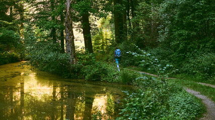 wandernde Frau mit Rucksack im Wald an einer goldenen Morgen nahe Manderscheid am Weiher am...