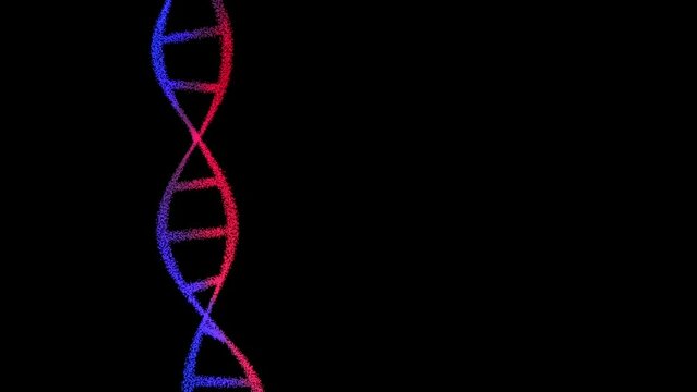DNA spiral structure rotating on black background. Animation
