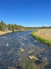 Fototapeta premium the river in the countryside
